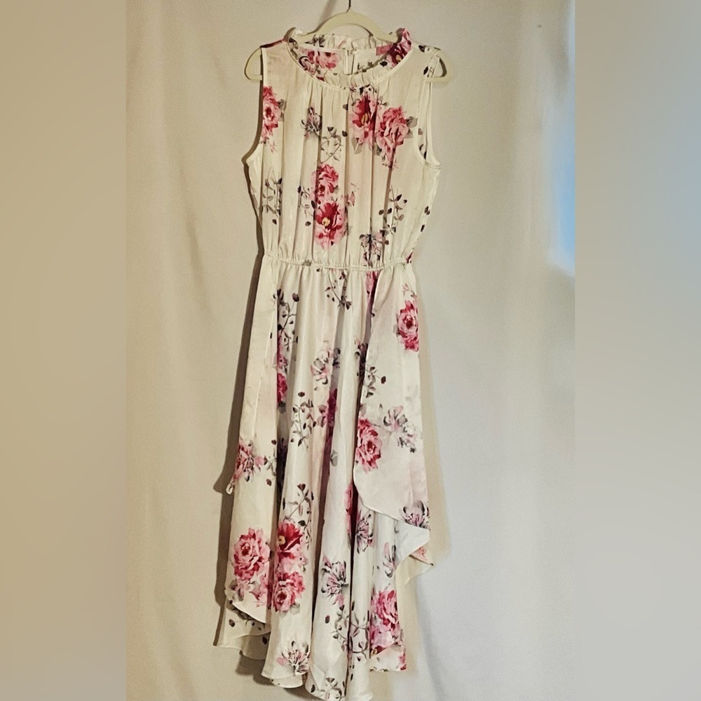 Eva Franco Pink Floral Shentel Dress Size 12 - Picture 3 of 9